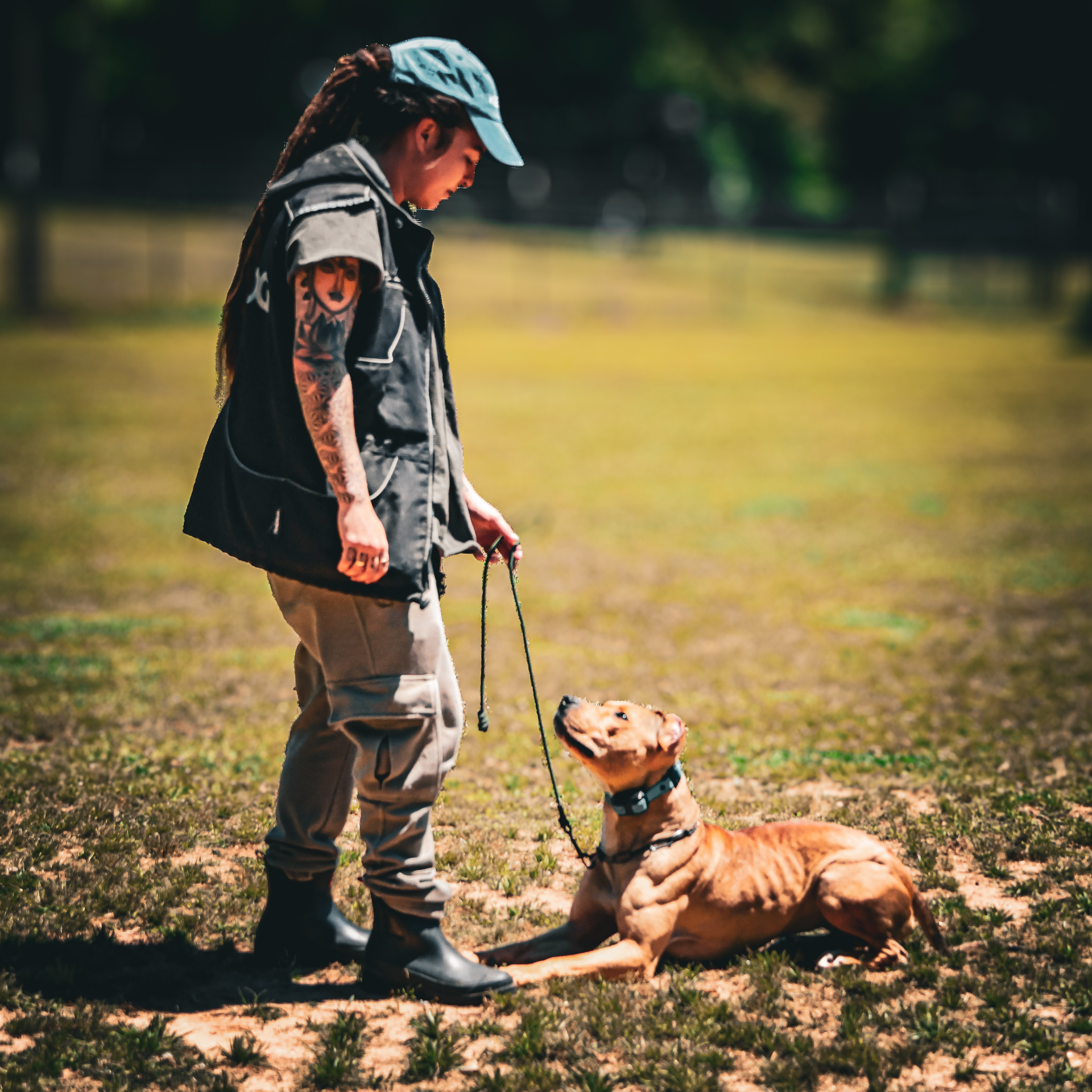 Basic & Advanced Obedience