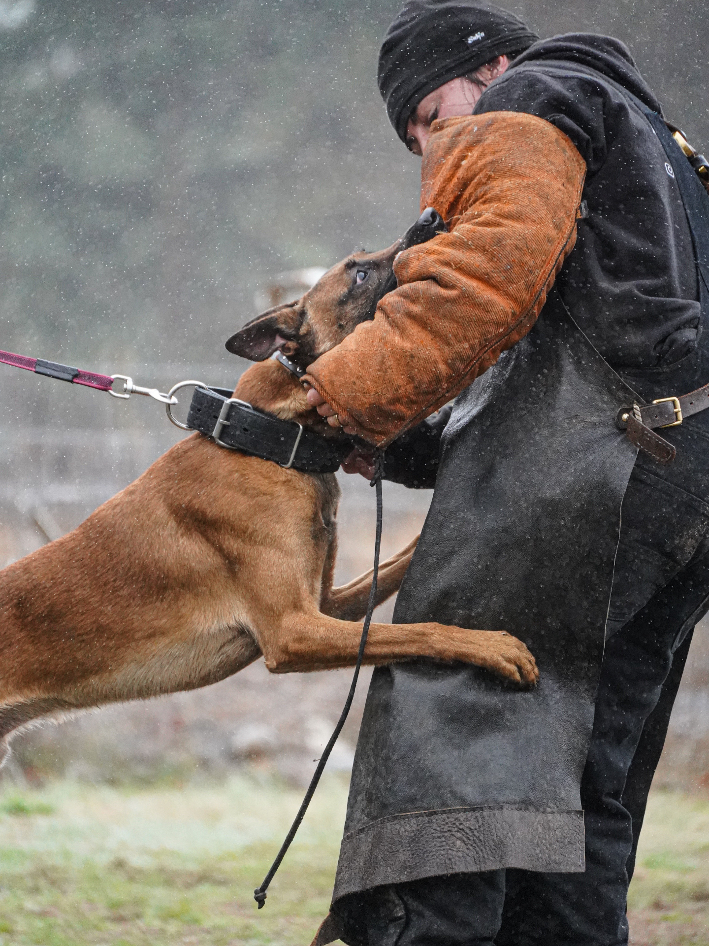 Personal Protection & Sport