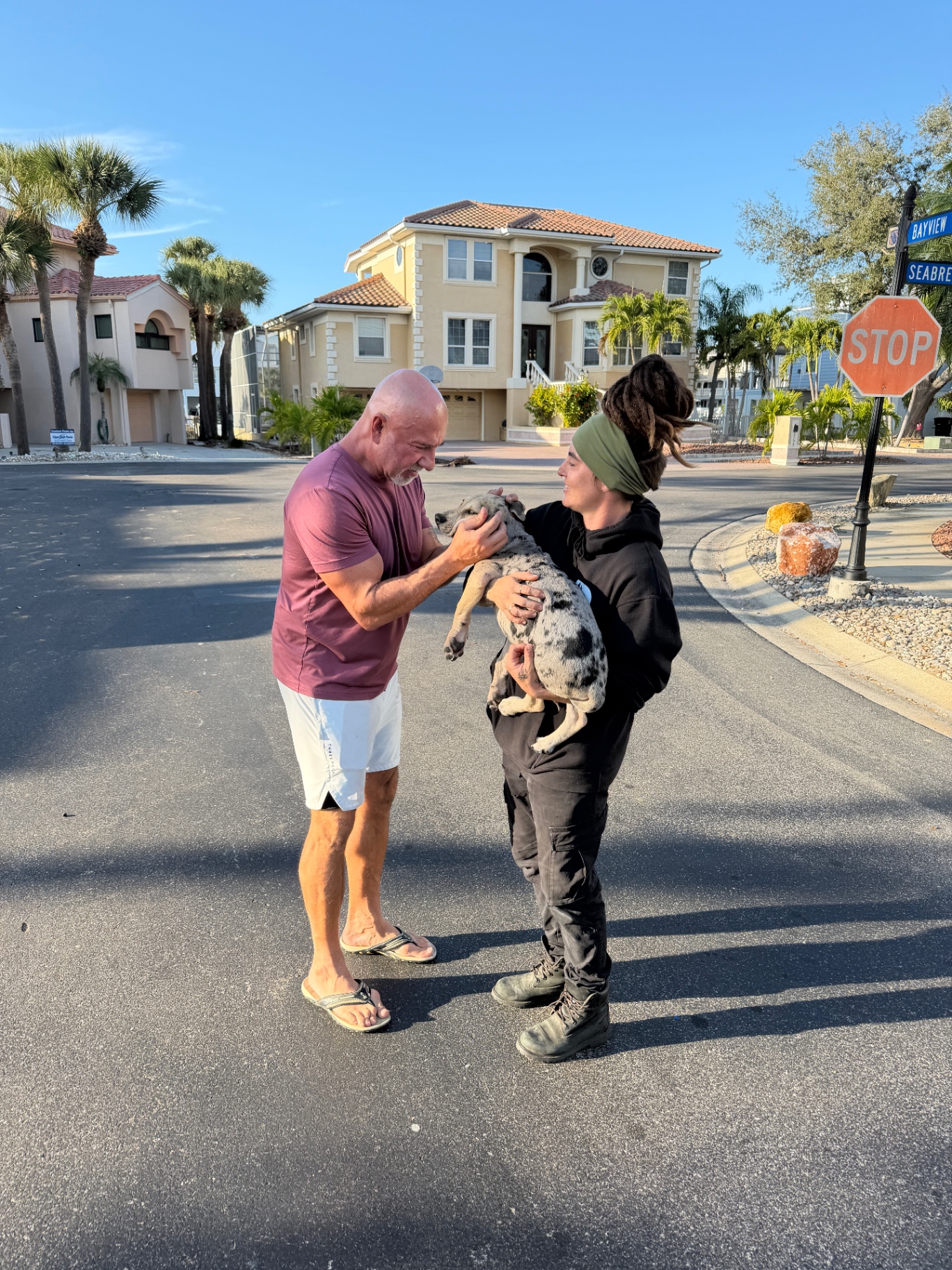 Puppy Training